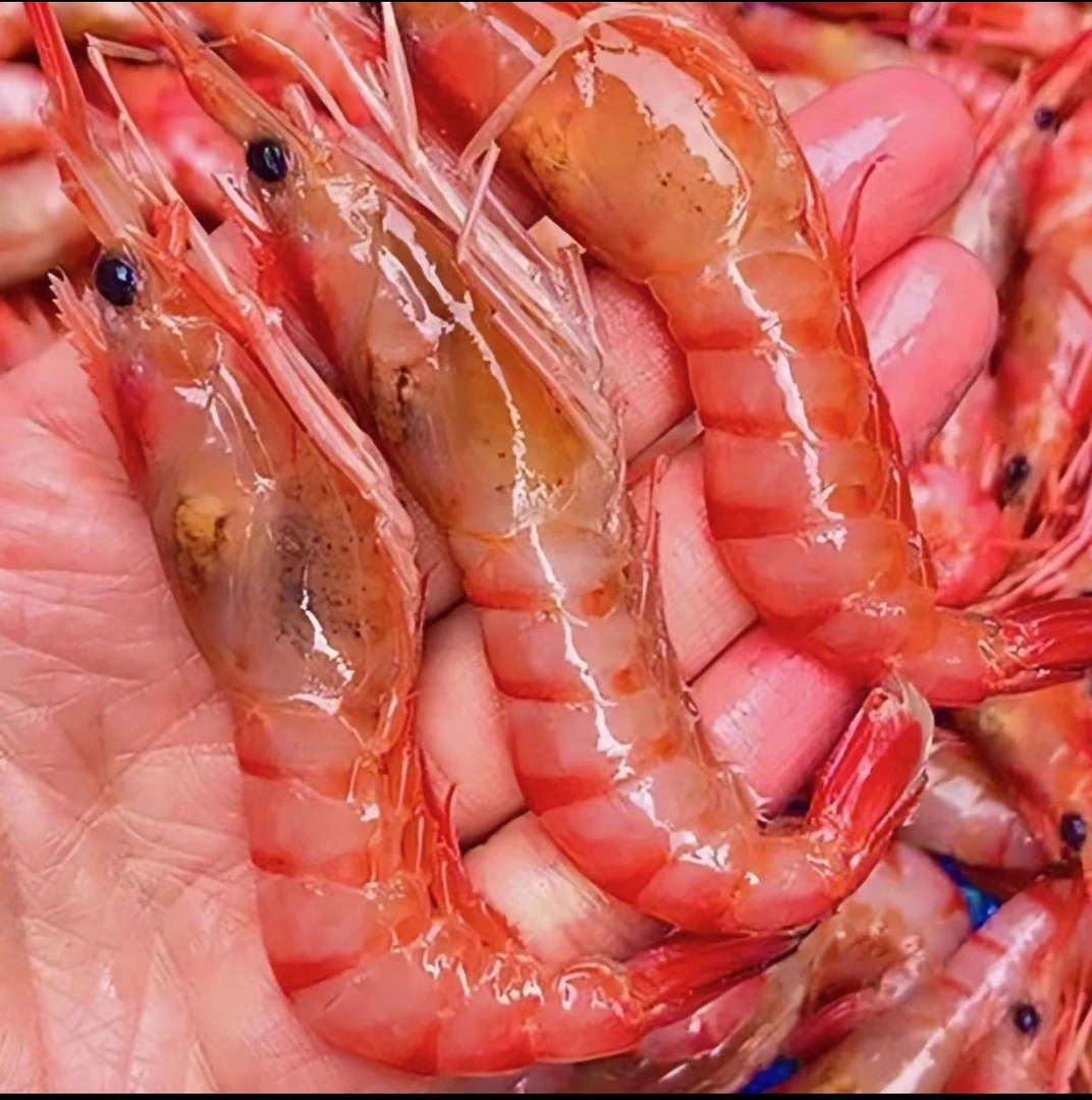 惠来小排精选红虾400X5盒