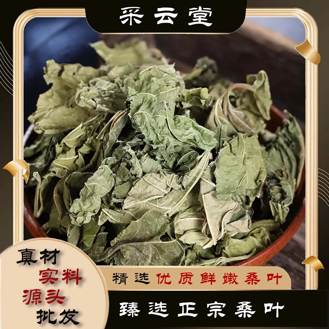 桑叶茶夏季凉茶料正品新货新鲜桑叶干农家精选桑树茶桑葚叶