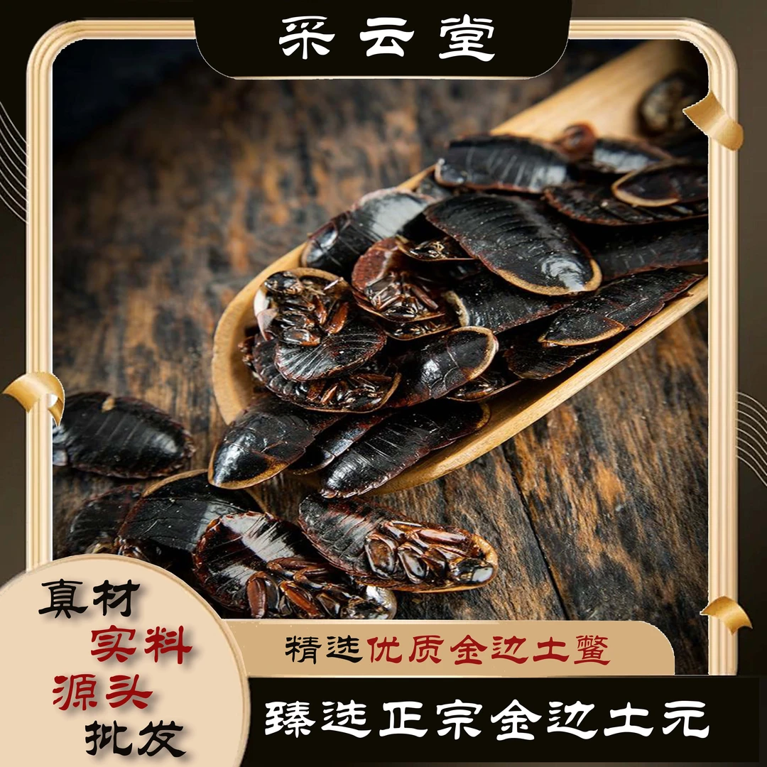 金边土元   土鳖虫土元中华土鳖虫地乌龟100g起购 另有栀子
