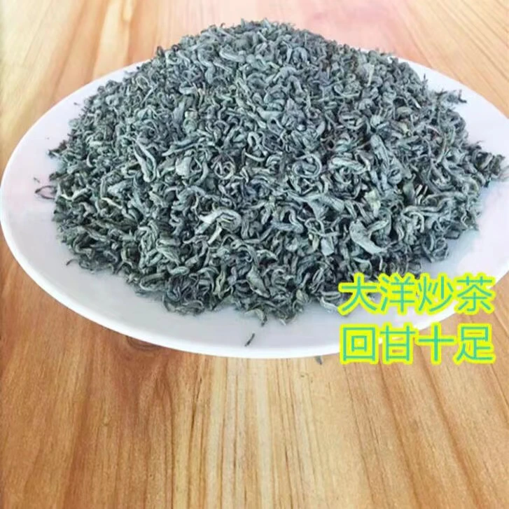 揭阳高山炒炒 揭西大洋炒茶 浓香耐泡大洋炒绿茶散装袋装500克