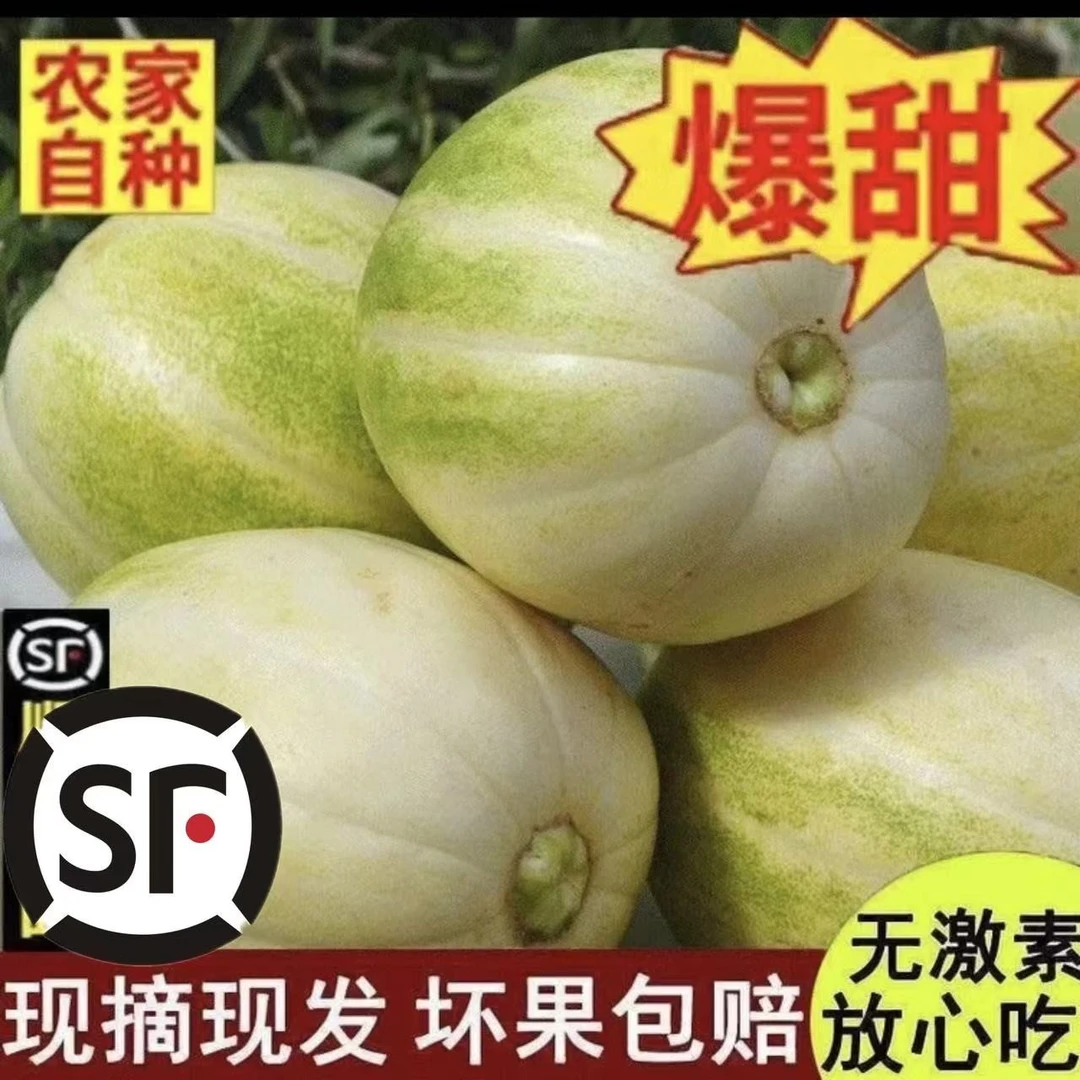 东北甜瓜老品种金密金妃香瓜斤3斤4斤5斤顺丰包邮新鲜香甜美味