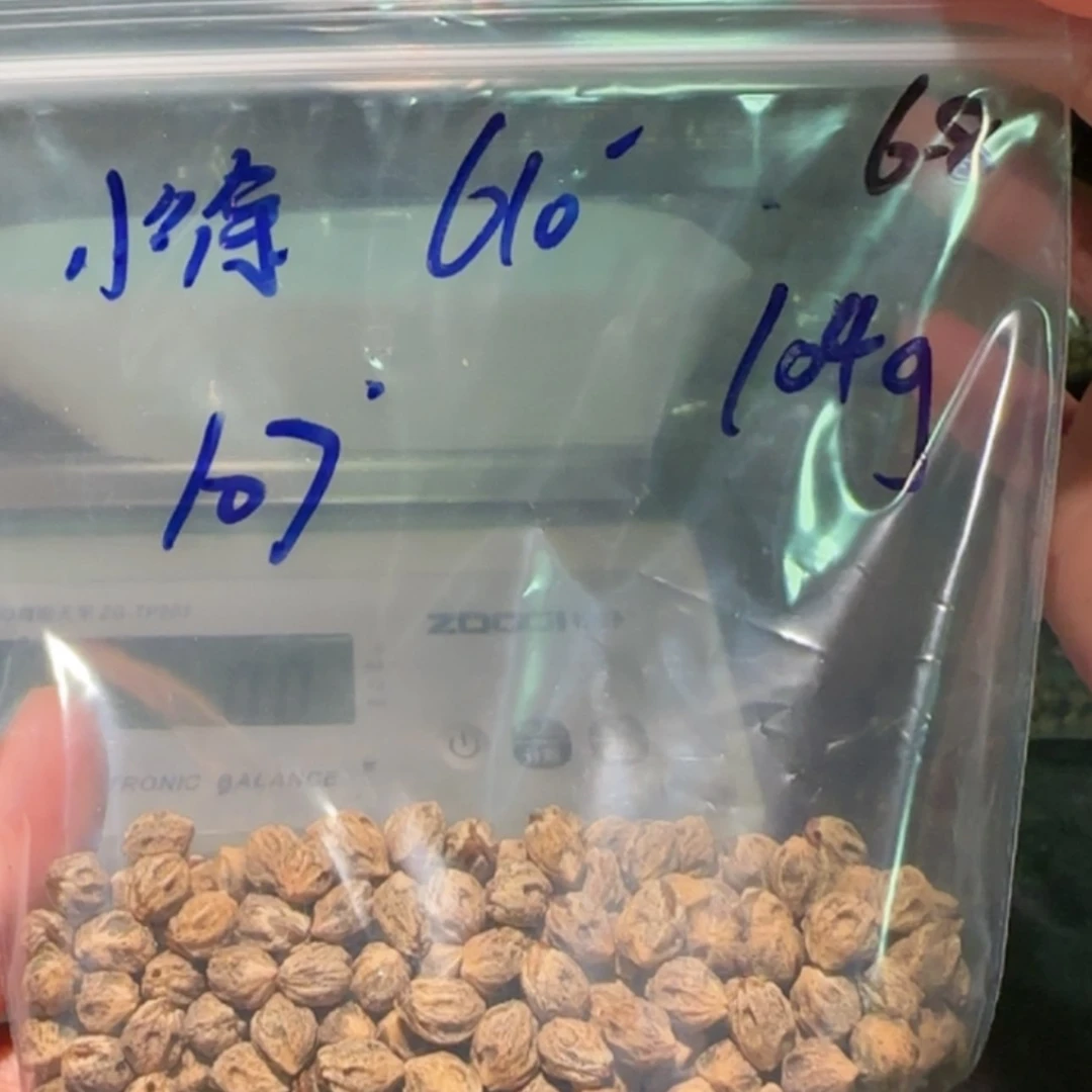 【闪购商品】柏香籽/百香籽吊坠小*小徐