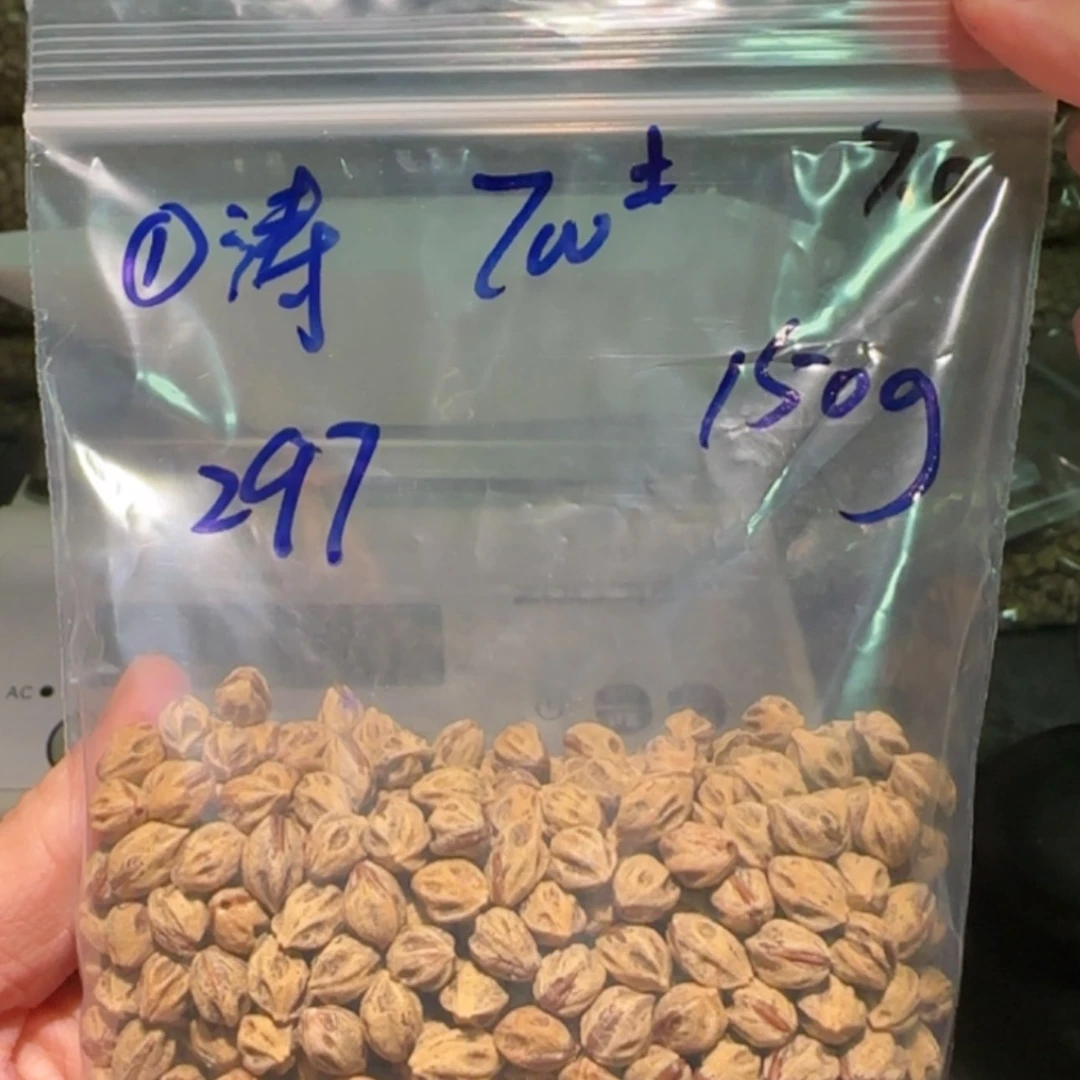 【闪购商品】柏香籽/百香籽吊坠R****哥7.0 150g