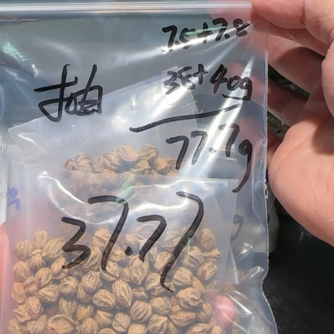 【闪购商品】柏香籽/百香籽吊坠奶*?奶糖 抽