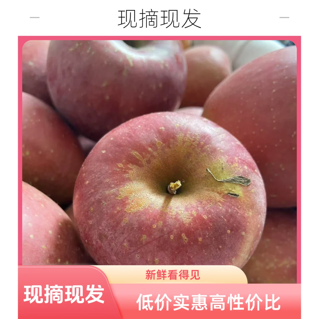 云南昭通丑苹果富士苹果冰糖心当季新鲜水果现摘脆甜