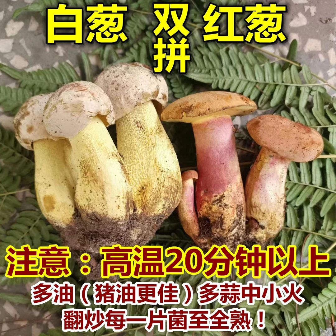 云南新鲜红葱白葱双拼牛肝菌250g-1000g炒熟食用