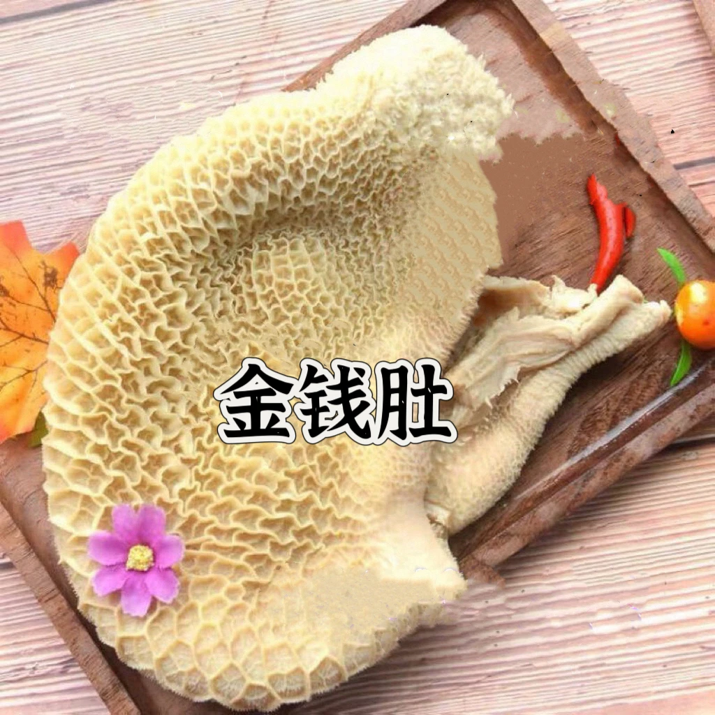 【熟牛金钱肚牛肚】正宗熟黄牛金钱肚3斤金钱肚蜂窝肚连云港冷链