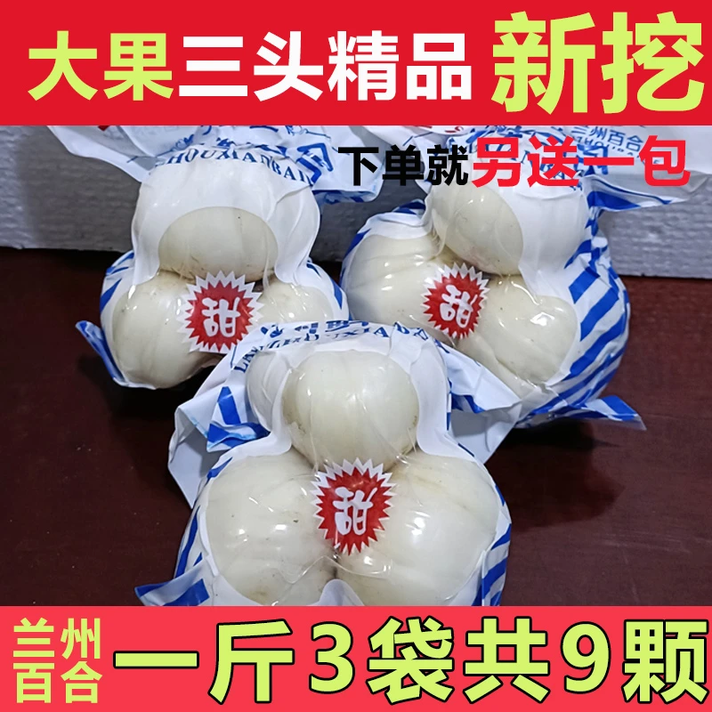 爆款 新鲜甜百合三头皇大果500g九年生兰州食用百合