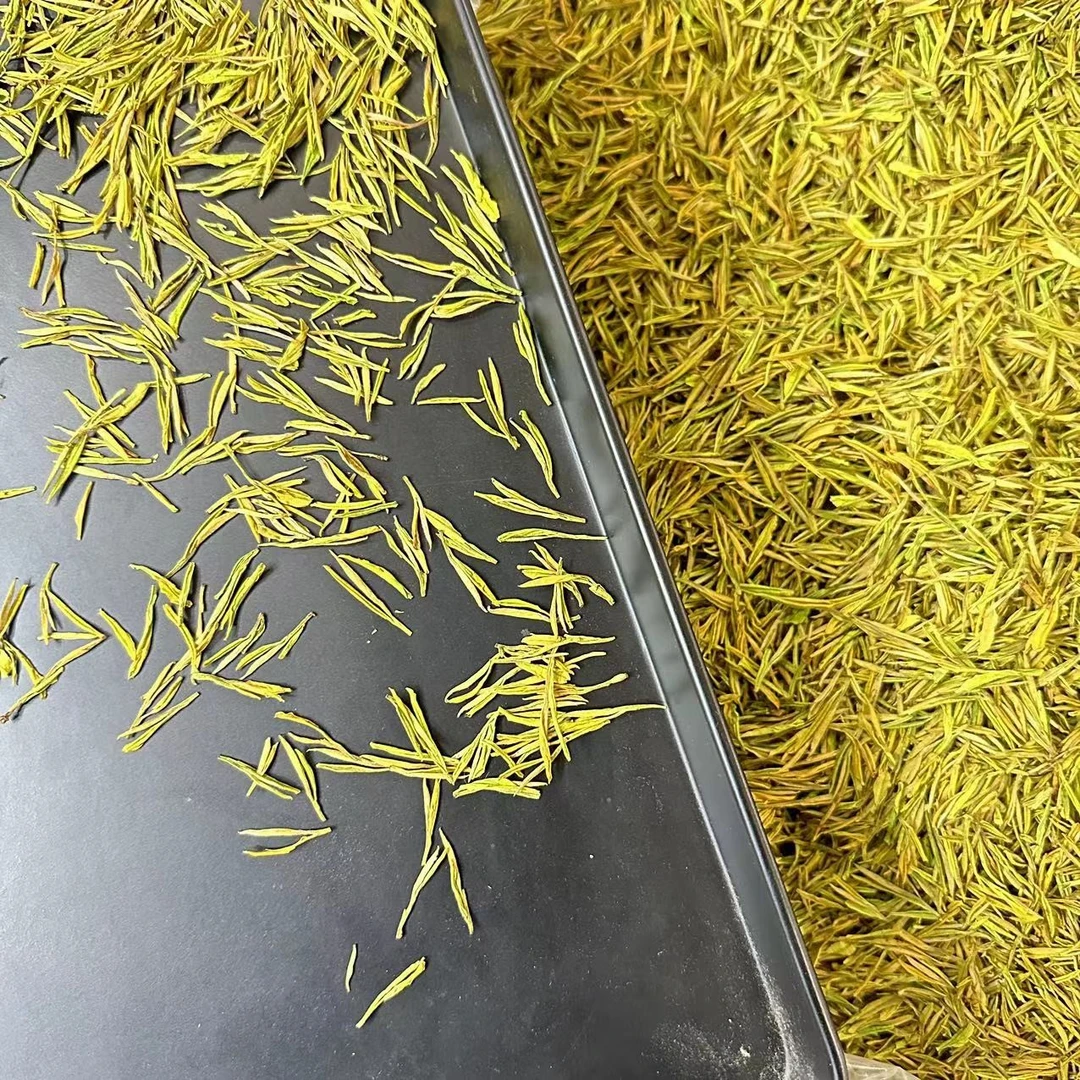 X6安吉本地高山乃白黄金芽 2024新茶 乃香富裕口感鲜爽