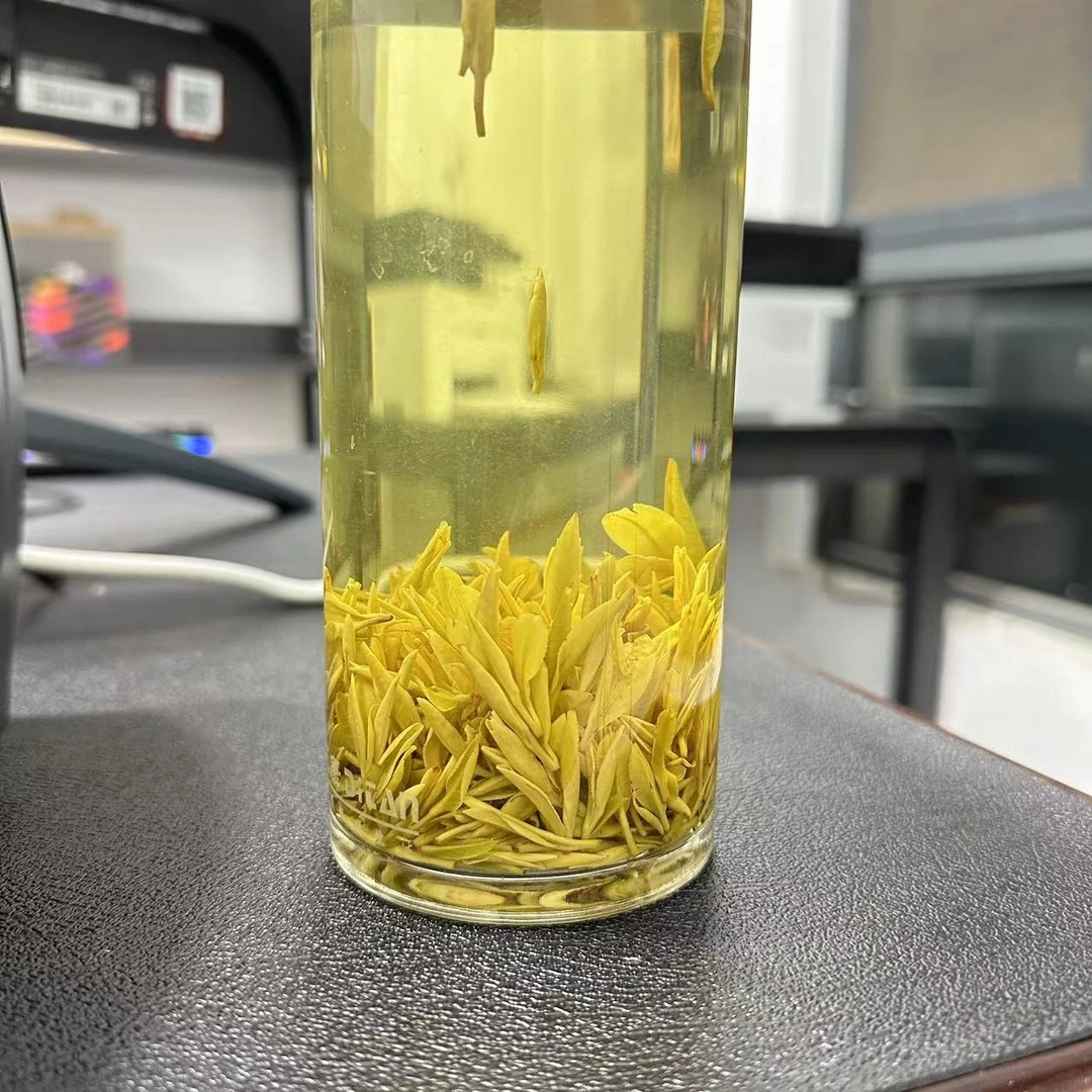 【拉新专享】小芽拉新安吉本地黄金叶黄金芽