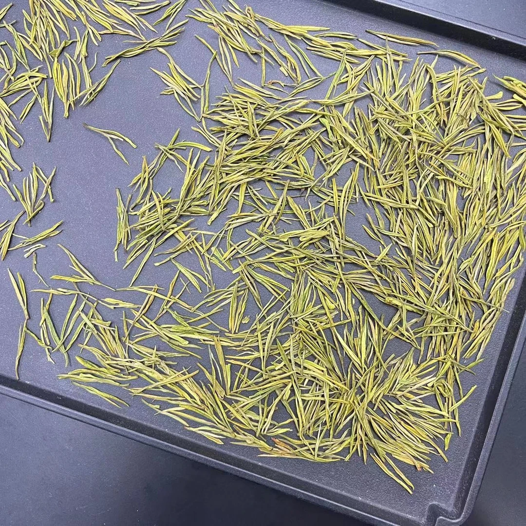 【天荒坪云雾茶 】超白高山2022年安吉原产地高山白茶