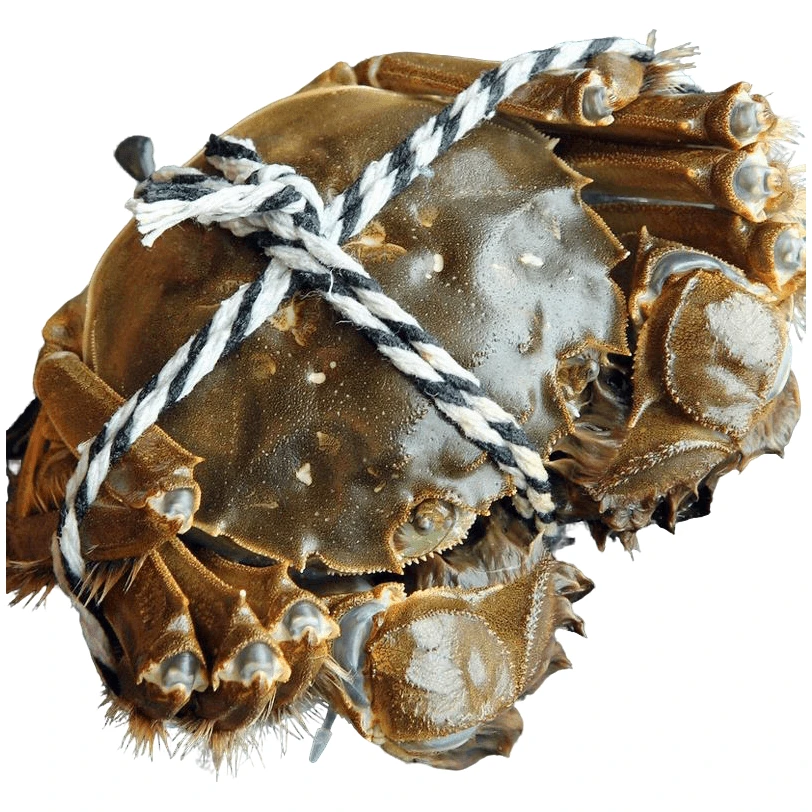 【直播专享】尝鲜款大闸蟹全母4只装1.7-2两/只 69.9