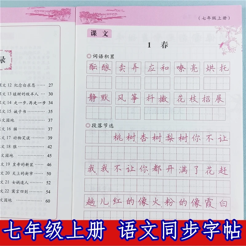 初中一年级上册语文同步写字课课练人教版七年级同步字帖每日一练