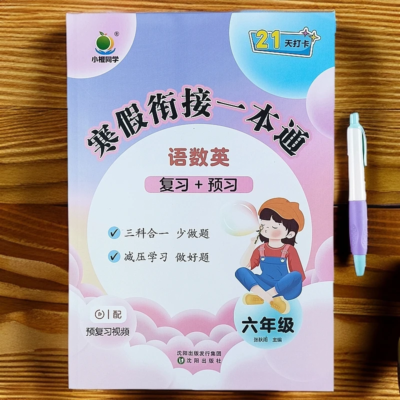 寒假衔接一本通六年级语文数学英语寒假复习预习寒假作业打卡计划