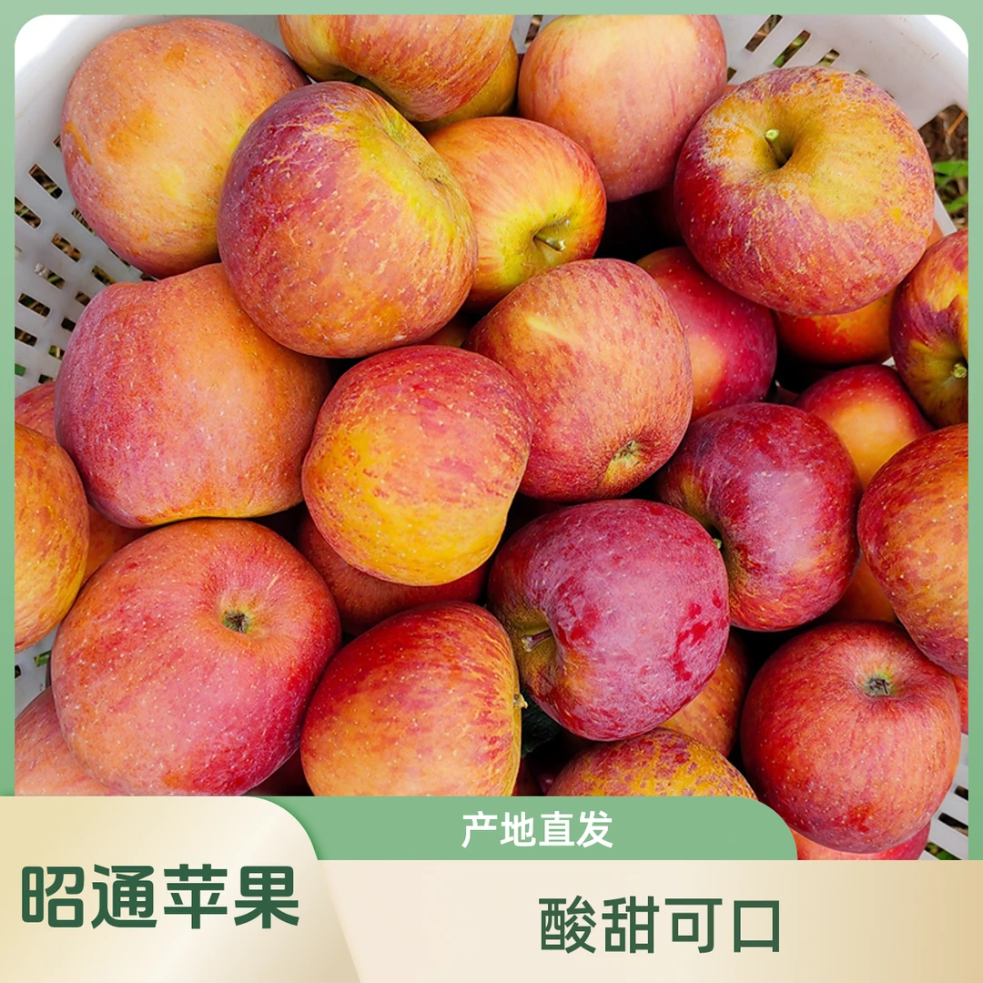 云南昭通丑苹果冰糖心红富士新鲜水果脆甜多汁