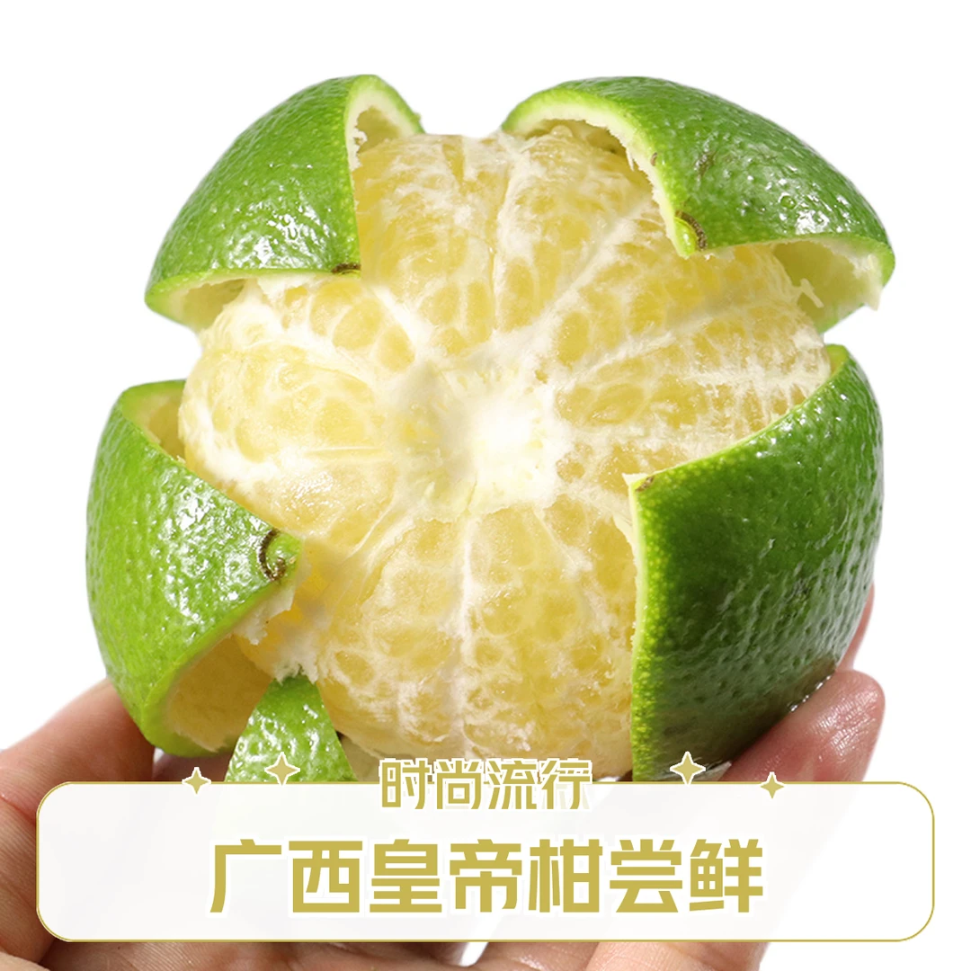 广西正宗皇帝柑新鲜采摘孕妇柑橘贡柑橘子当季水果