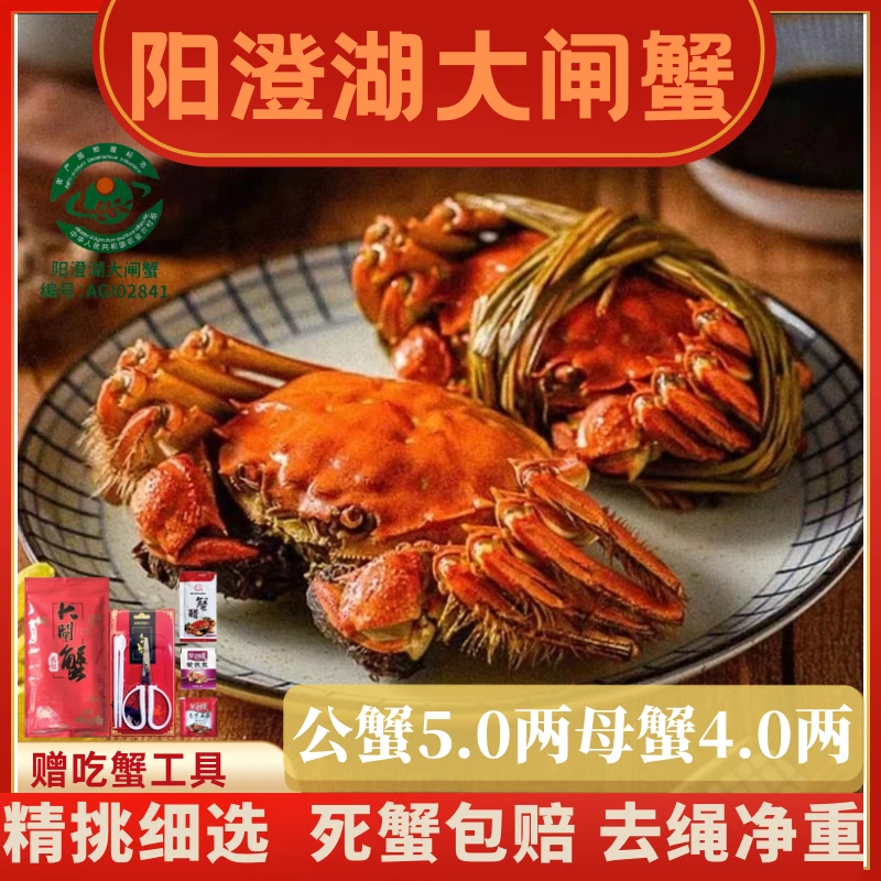 【活蟹】陳鲜生阳澄湖大闸蟹塘养 5两公蟹+4两母蟹6/8/10只礼盒顺丰