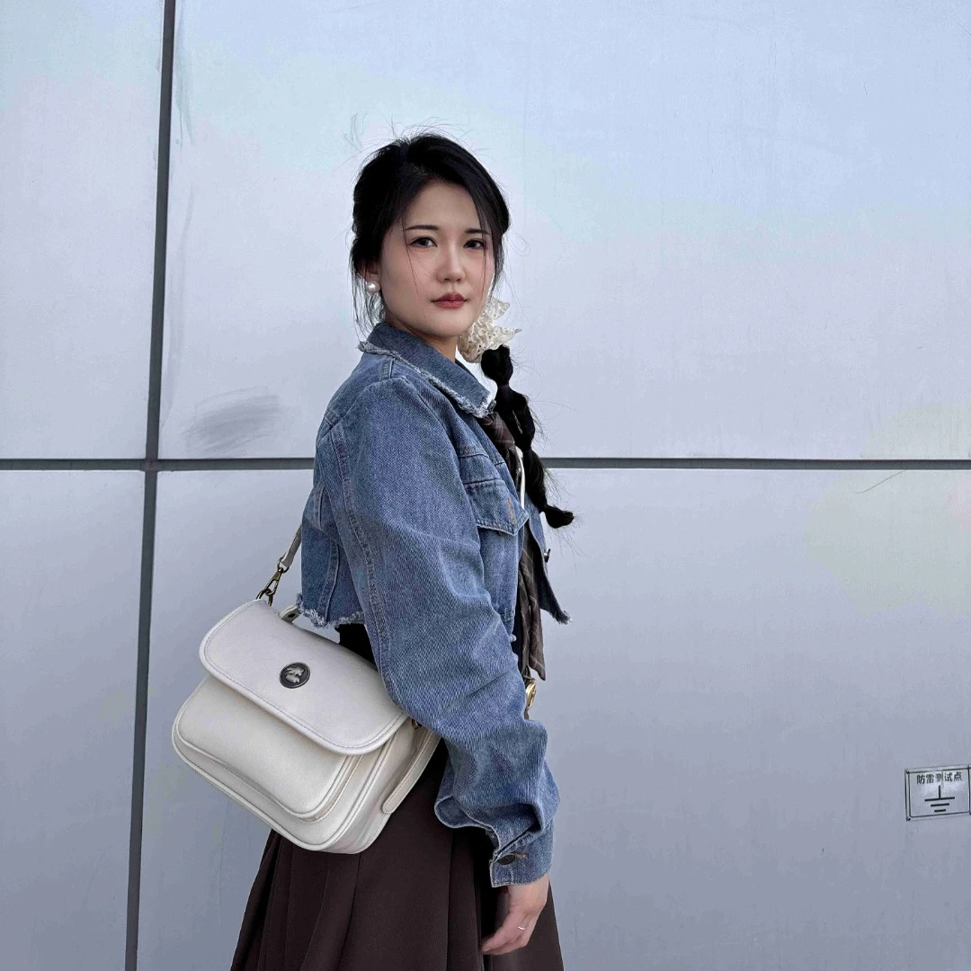 【丁老板严选女包】D241-D270号女士腋下单肩斜跨轻奢潮流肩包真皮