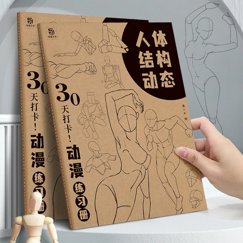 人体结构动态30天打卡日常动漫练习册人体结构基础临摹入门学习