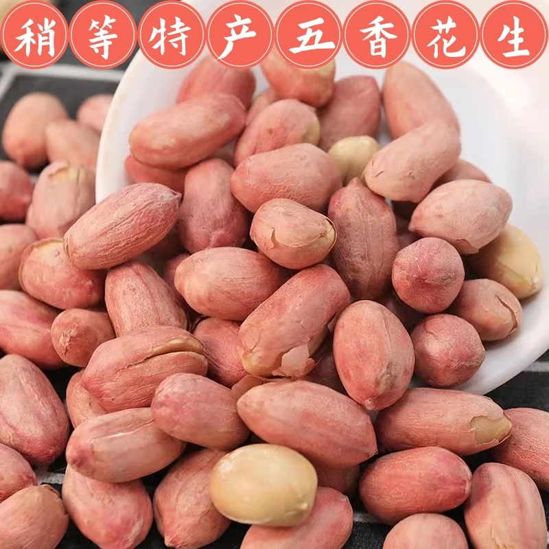 烤熟山东五香花生米蒜香花生米下酒零食香脆酥脆食用农产品袋装