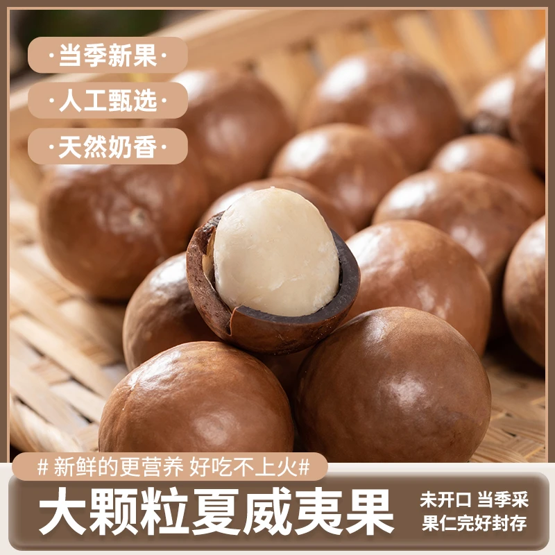 广西新货原味无添加大颗粒特大颗粒干货可口夏威夷果坚果袋装散装