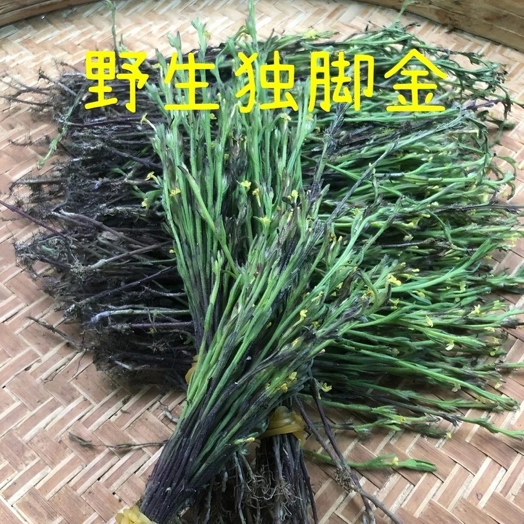 广东深山散装纯野生干货发货独脚金质量5g
