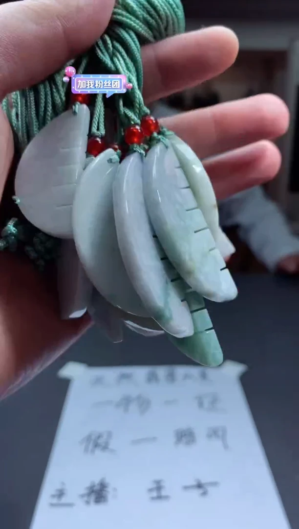 【闪购商品】翡翠颈饰未镶嵌 W0001258多样性发一件