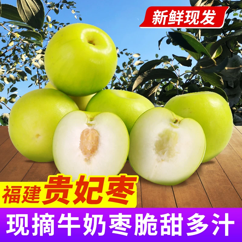 福建贵妃脆蜜枣牛奶枣新鲜皮薄清甜产地好吃苹果枣贵妃枣苹果冬枣