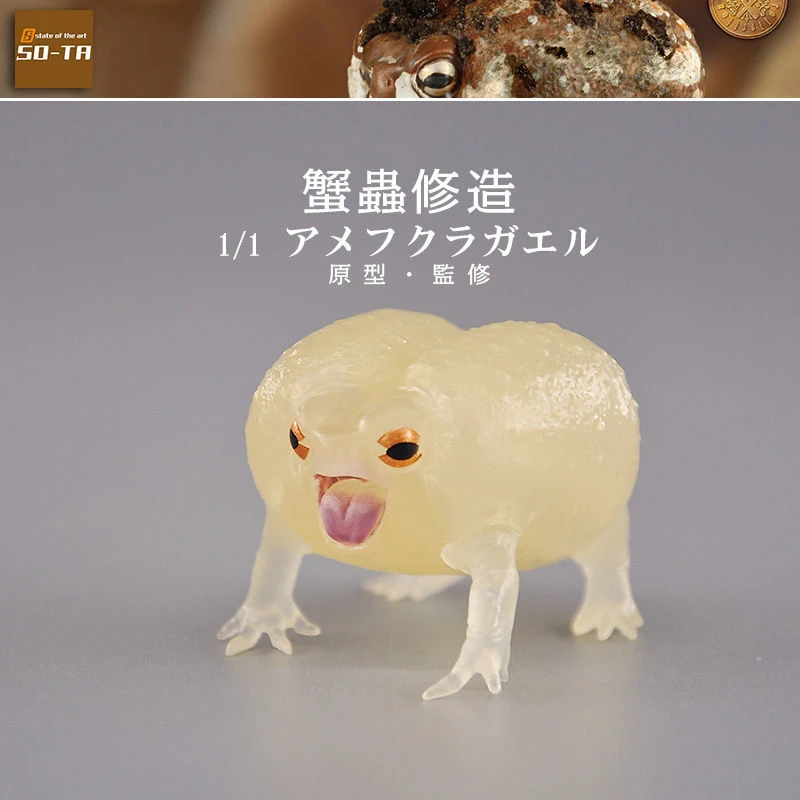 SO-TA日本正版散货 仿真爬行动物模型 1:1短头蛙 美洲夜光馒头蛙