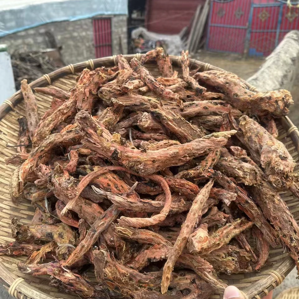 西藏高原景天100g/250g/份