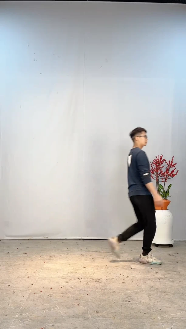 【闪购商品】北美冬青树北美冬青树