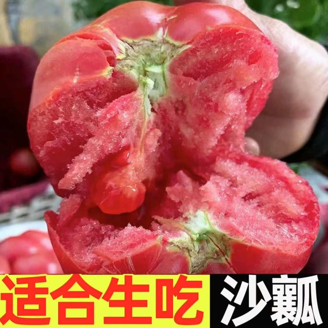 自然熟新鲜西红柿自家小园薄皮柿子东北番茄生吃蔬菜水果