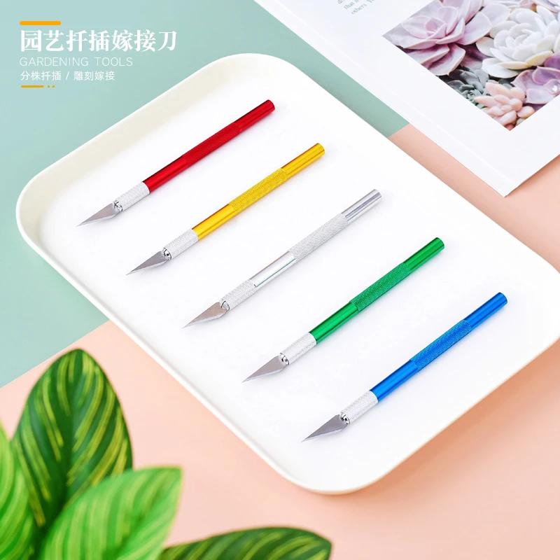多肉扦插专用工具砍头侧芽刀徒长黑腐工具园艺嫁接芽接雕刻手工刀