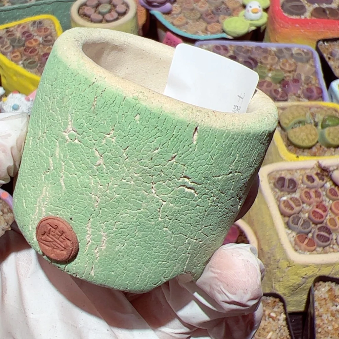 【闪购商品】米***蕊105-58