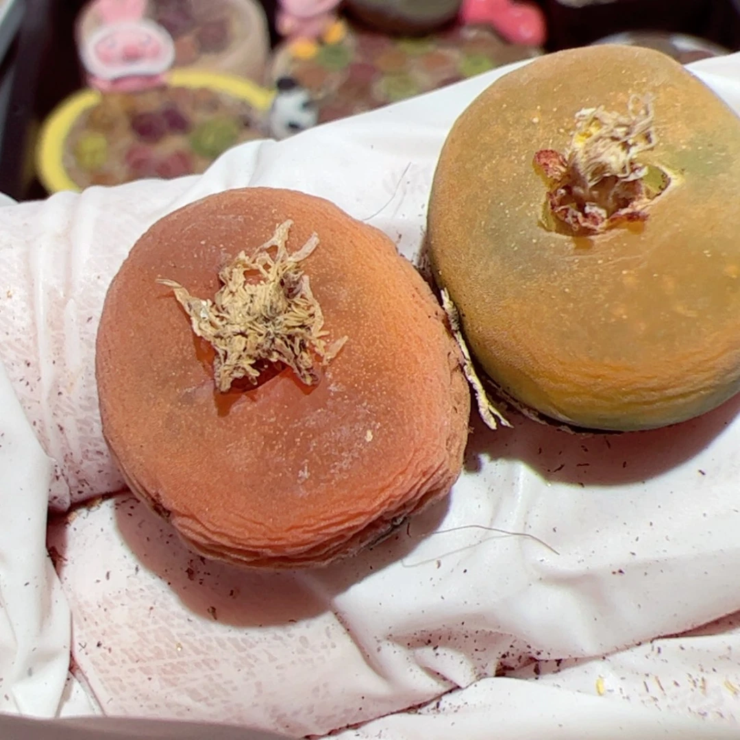 【闪购商品】1218-28