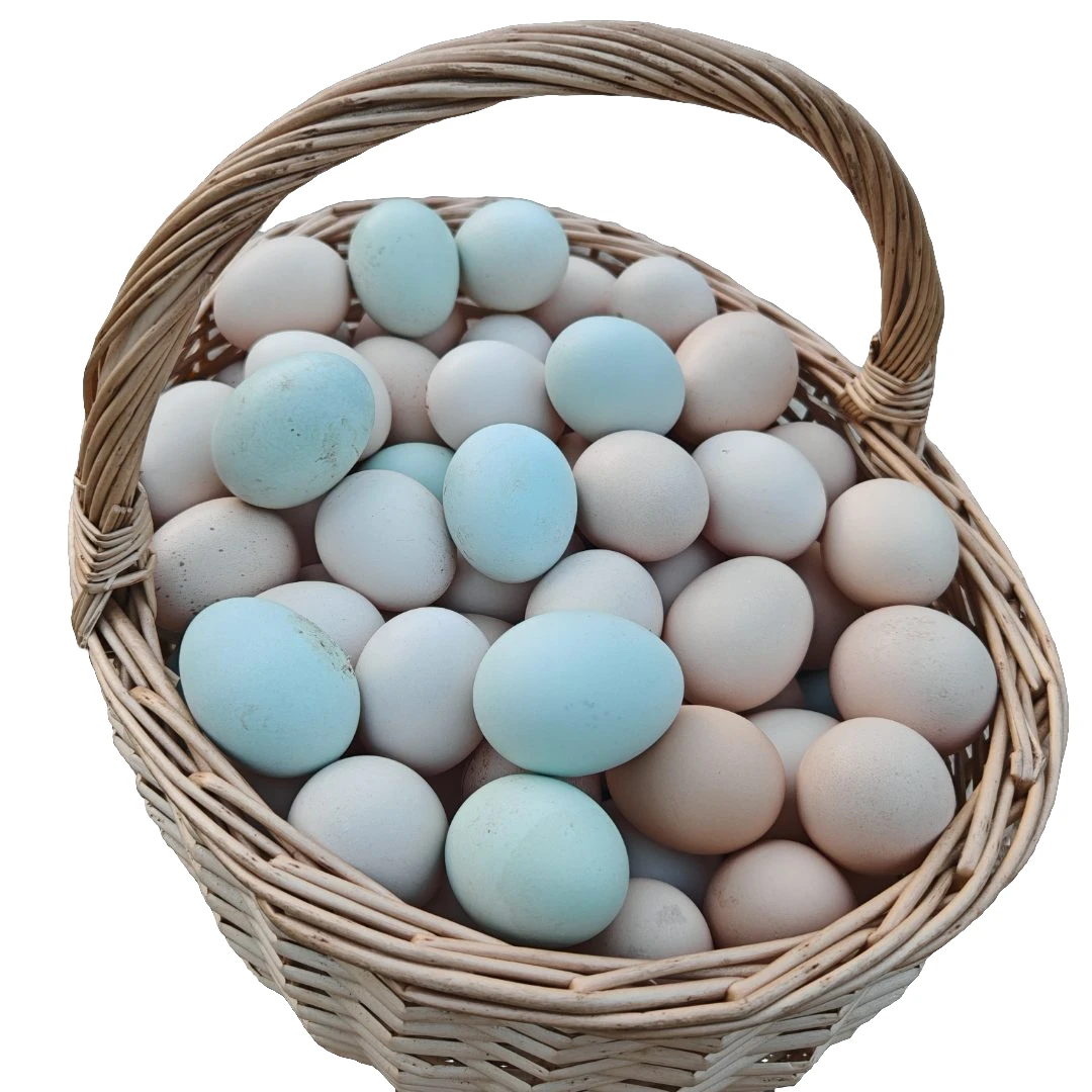 石沟记正宗土鸡蛋散养芦花飞鸡蛋土鸡蛋农家散养新鲜鸡蛋30枚。