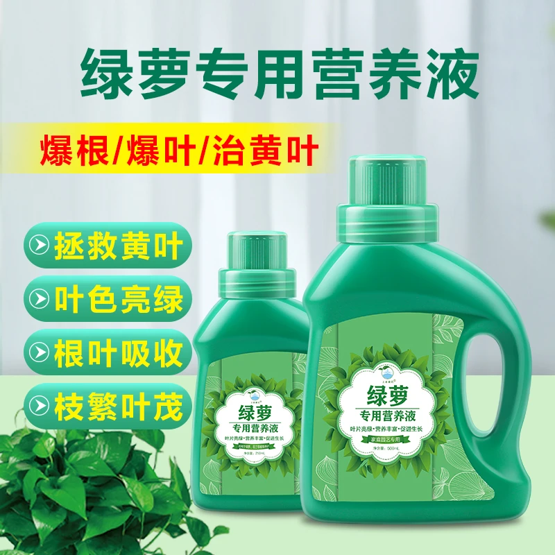绿萝营养液肥料专用肥植物盆栽绿箩营养液花肥料家用土培养花用