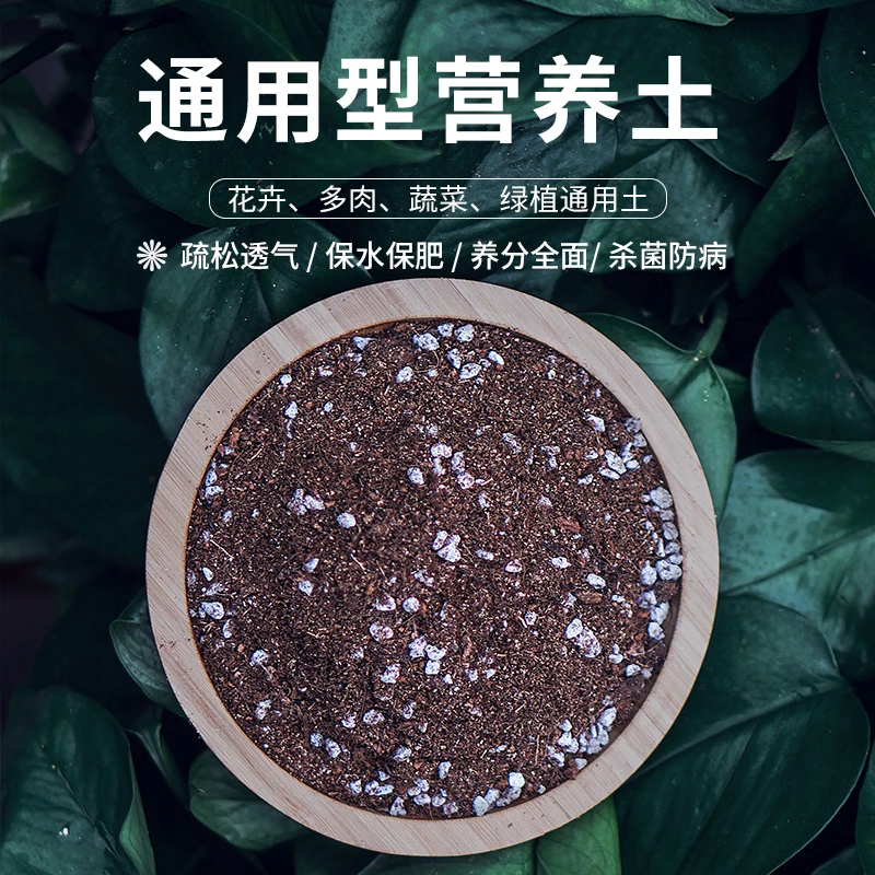 养花通用型营养土盆栽蔬菜种植绣球月季有机肥泥炭土壤种植土花土