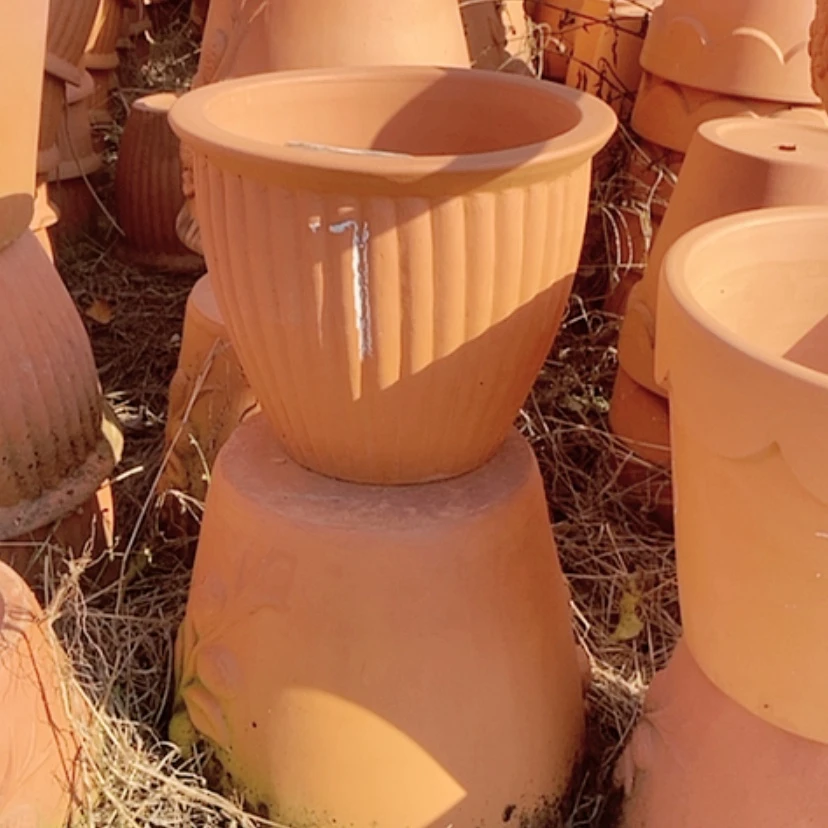 【闪购商品】红陶25.20