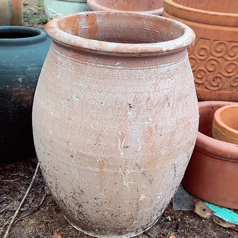 【闪购商品】红陶20CM（含）-50CM（不含）16-26
