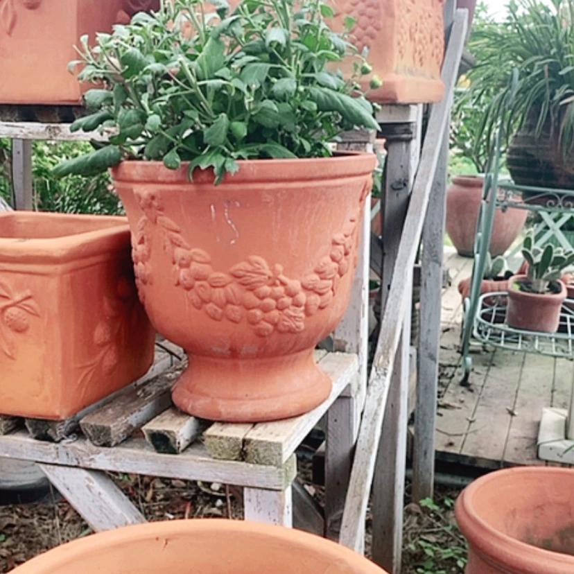 【闪购商品】红陶20CM（含）-50CM（不含）25.25