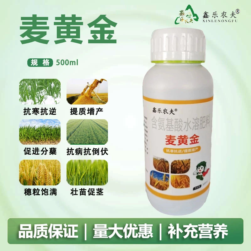 小麦专用肥高产分蘖抗倒伏籽粒粒增产套餐叶面肥麦黄金水溶肥生长