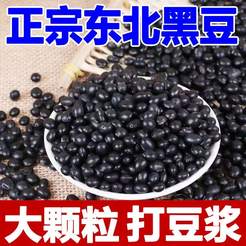 东北黑豆非转基因新鲜绿心黑豆打豆浆醋泡豆芽五谷杂粮批发
