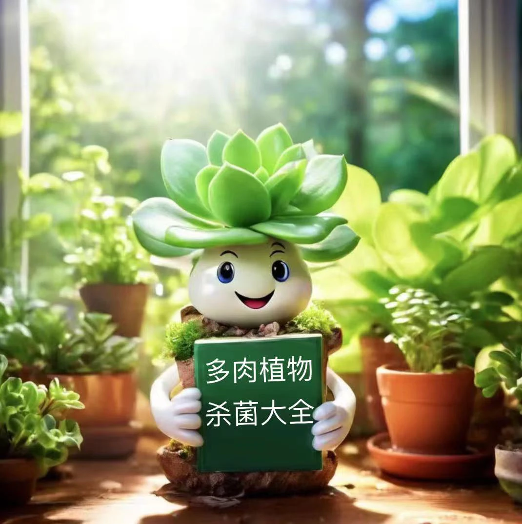 多肉植物病菌消失术、预防21天左右一次、治疗7天左右一次