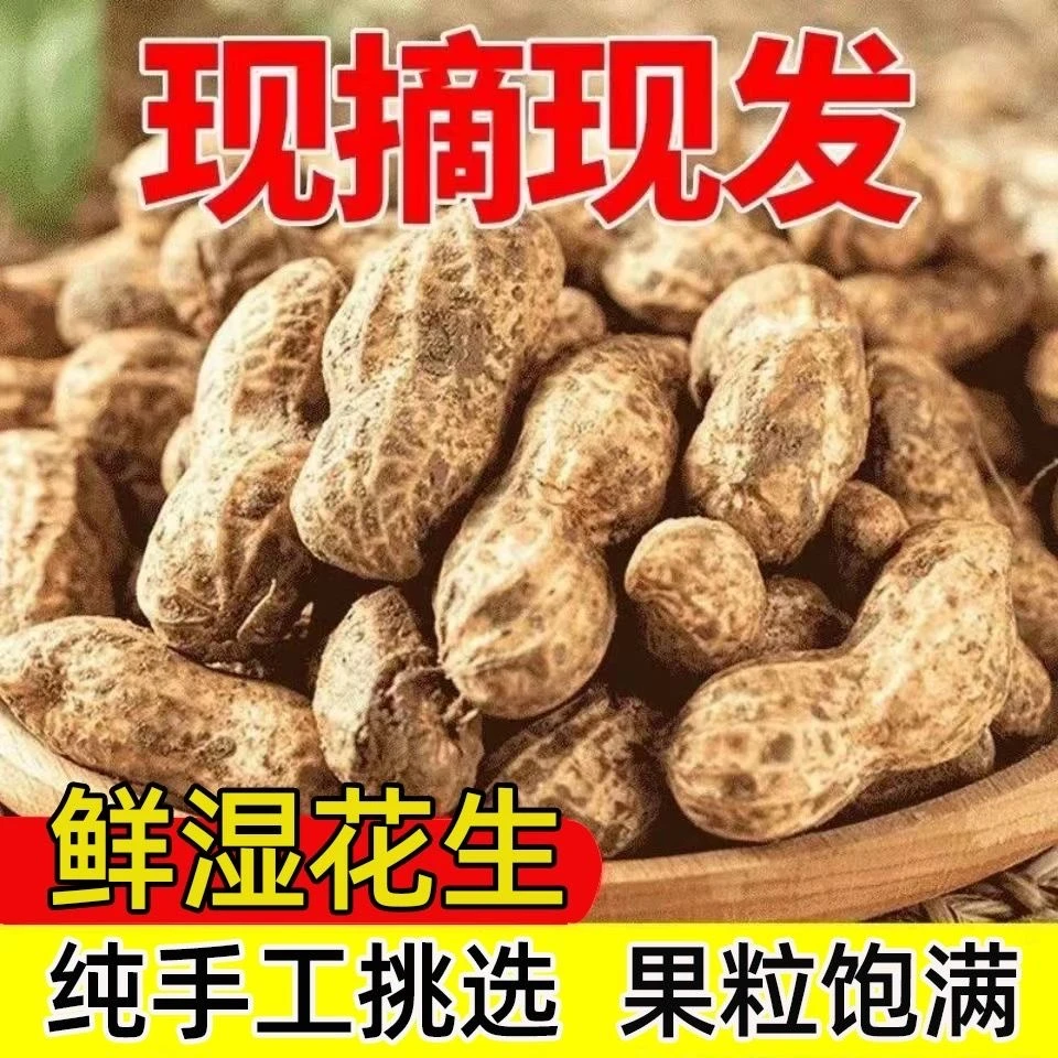 2025年新鲜花生湿花生带壳生花生粉皮鲜花生可水煮花生批发3斤5斤