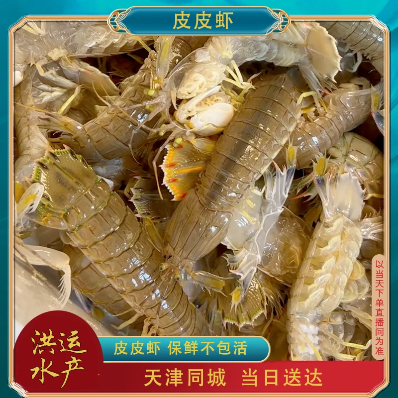 本地皮皮虾 【保鲜不保活】 1斤15条左右 2-5斤起 天津发货