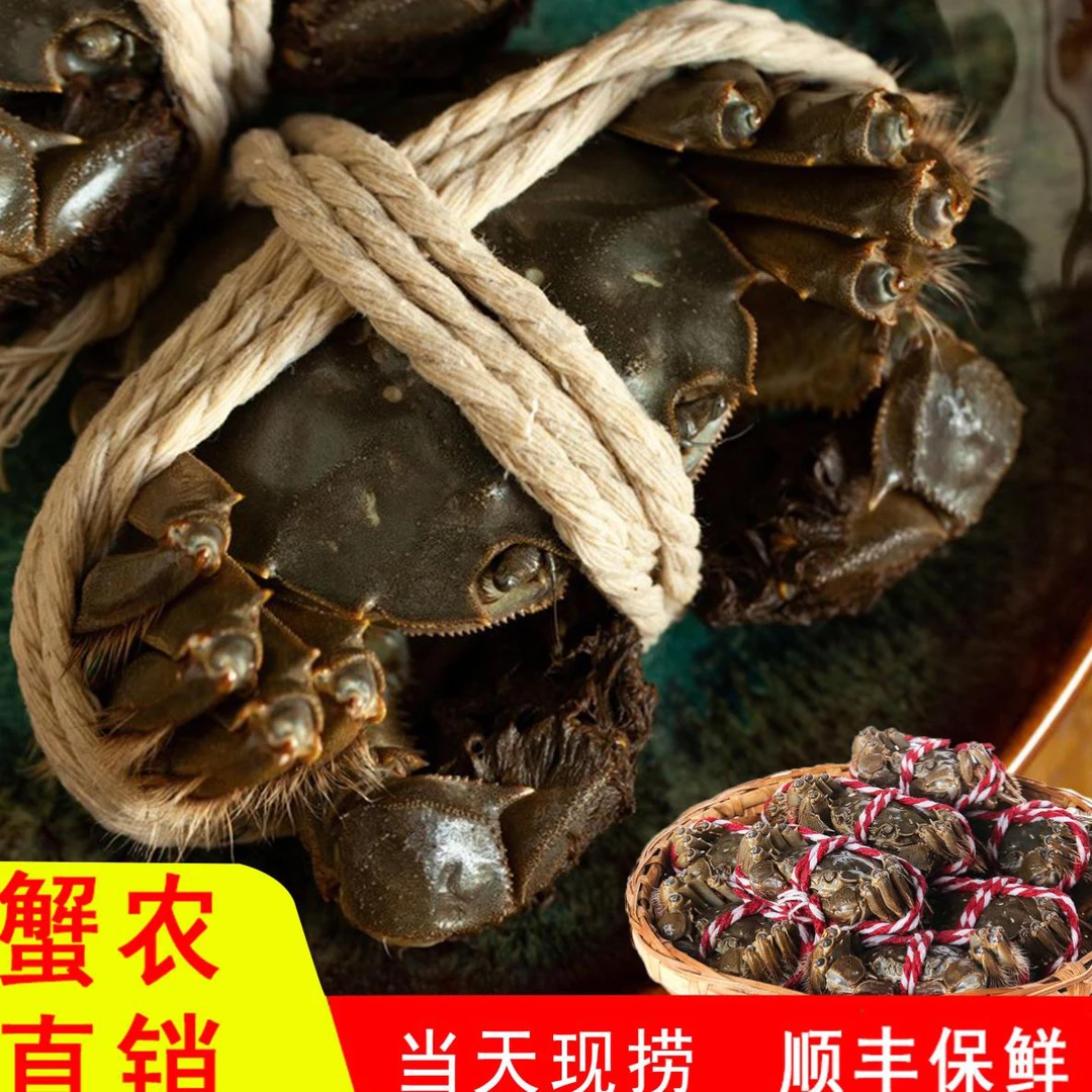「阿雅活蟹」公蟹3.6两～3.3两母蟹3.6两～3.3两4对8只礼盒装顺丰发货
