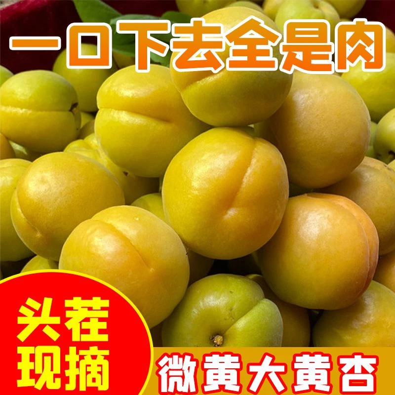 陕西半青半黄杏子微黄杏孕妇水果酸脆新鲜杏子现摘1/2/3斤