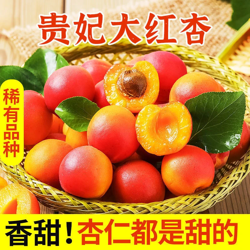【顺丰】陕西胭脂红贵妃红杏丰园红现采现摘杏子2/4斤新鲜