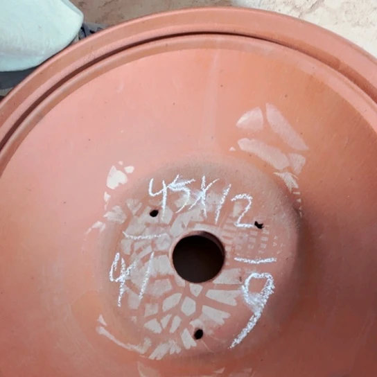 紫砂20CM（含）-50CM（不含）